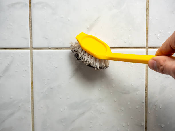 Best Black Mold Removal  in London, OH