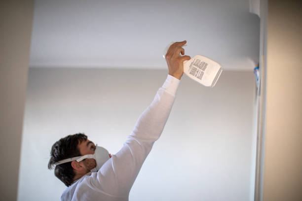 Best Local Mold Removal Service  in London, OH